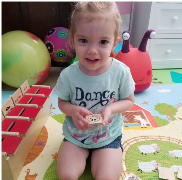 Montessori Classification Learning Toy