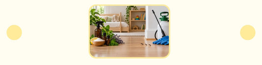 Comparing Natural and Chemical Pest Control Methods: Which Approach Works Best for Your Home