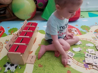 Montessori Classification Learning Toy