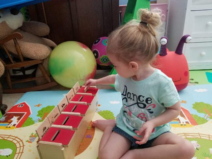Montessori Classification Learning Toy